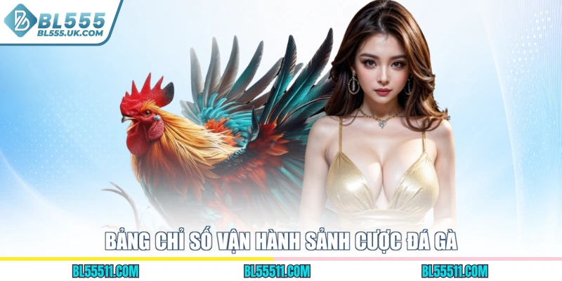 Bảng chỉ số vận hành sảnh cược đá gà