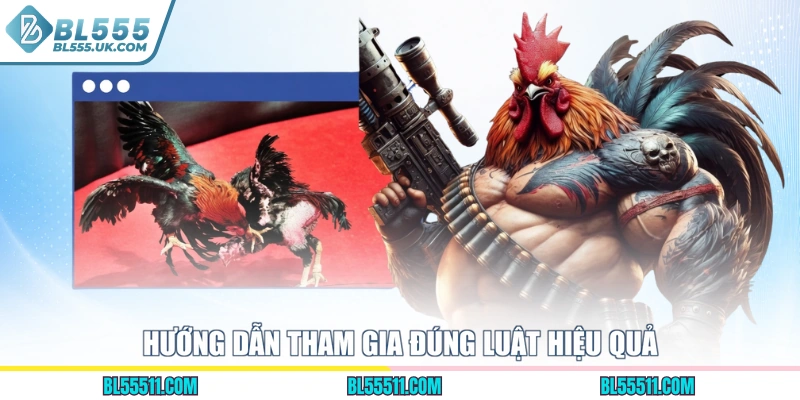 Hướng dẫn tham gia đúng luật hiệu quả