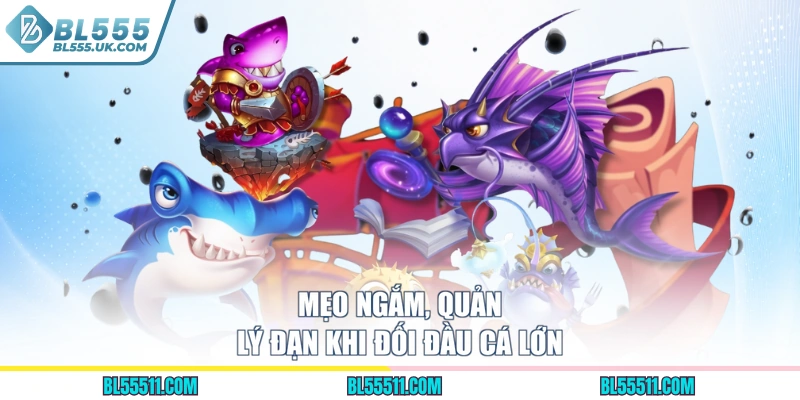 Mẹo ngắm, quản lý đạn khi đối đầu cá lớn