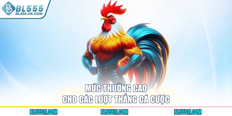 Mức thưởng cao cho các lượt thắng cá cược